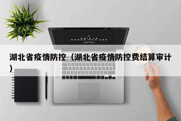 湖北省疫情防控(湖北省疫情防控费结算审计)