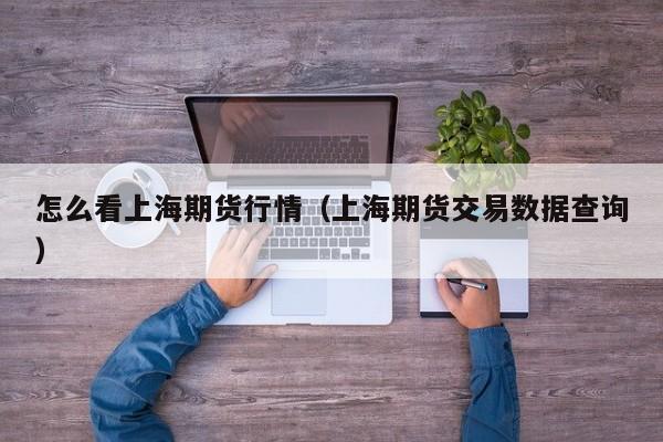 怎么看上海期货行情(上海期货交易数据查询)