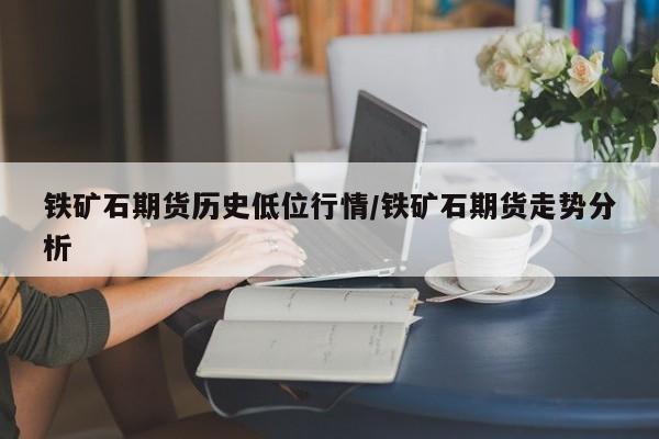 铁矿石期货历史低位行情/铁矿石期货走势分析
