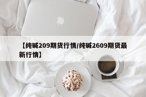 【纯碱209期货行情/纯碱2609期货最新行情】